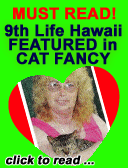 9th Life Featured in January Cat Fancy!!